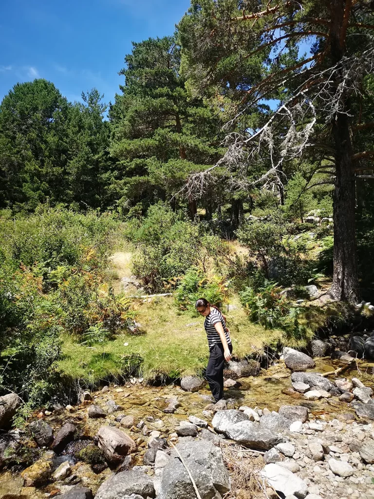 Atravessando um riacho de pedras em uma área arborizada, cercada por vegetação verde e árvores altas.