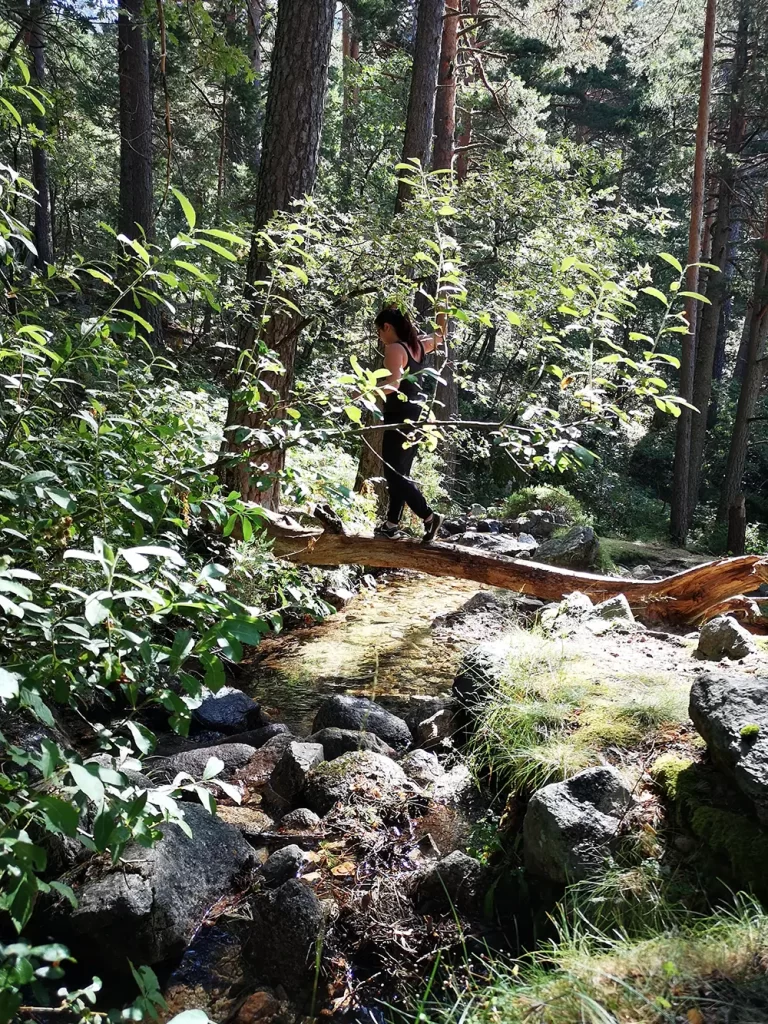 Mulher caminhando em uma floresta densa com vegetação verde.