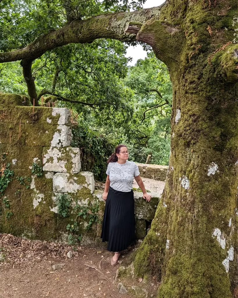 Pessoa em pé ao lado de uma grande árvore coberta de musgo no parque ao redor do Parador Monasterio de Santo Estevo.