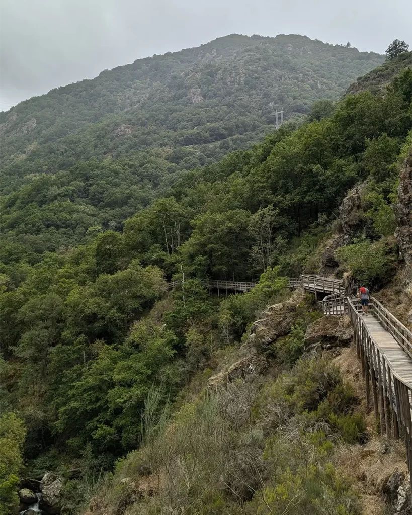 Vista das passarelas de madeira na Trilha do Rio Mao, cercadas por vegetação densa e montanhas ao fundo.