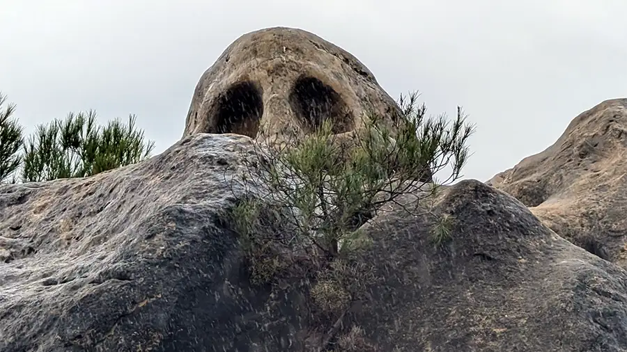 Escultura de crânio parcialmente escondida na Rota das Cara.