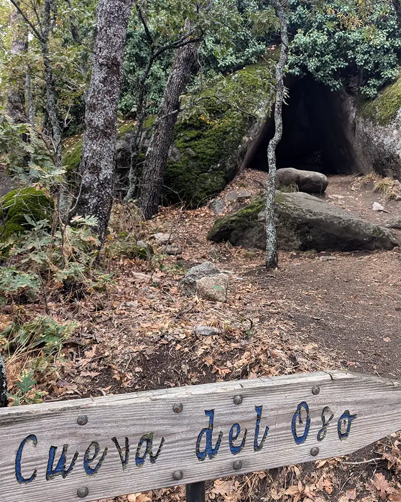 Entrada da Cueva del Oso, uma caverna cercada por árvores e sinalizada com uma placa de madeira.