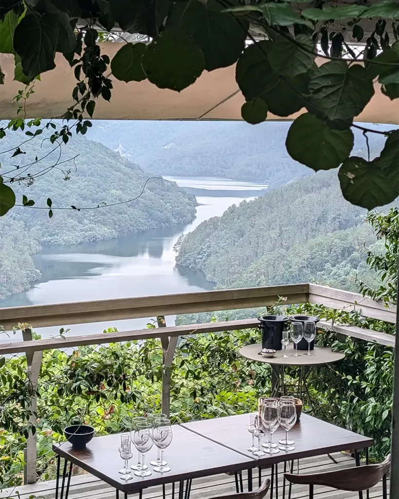 Uma mesa ao ar livre com taças de vinho e um balde de gelo, emoldurada por folhas de videira, com vista para o rio Sil.