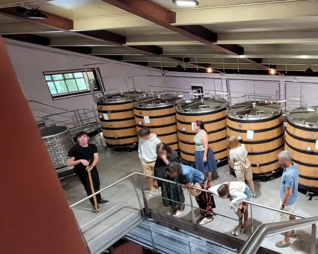 Visita a uma vinícola na Ribeira Sacra com grandes tonéis de madeira e um guia explicando o processo de produção de vinho.