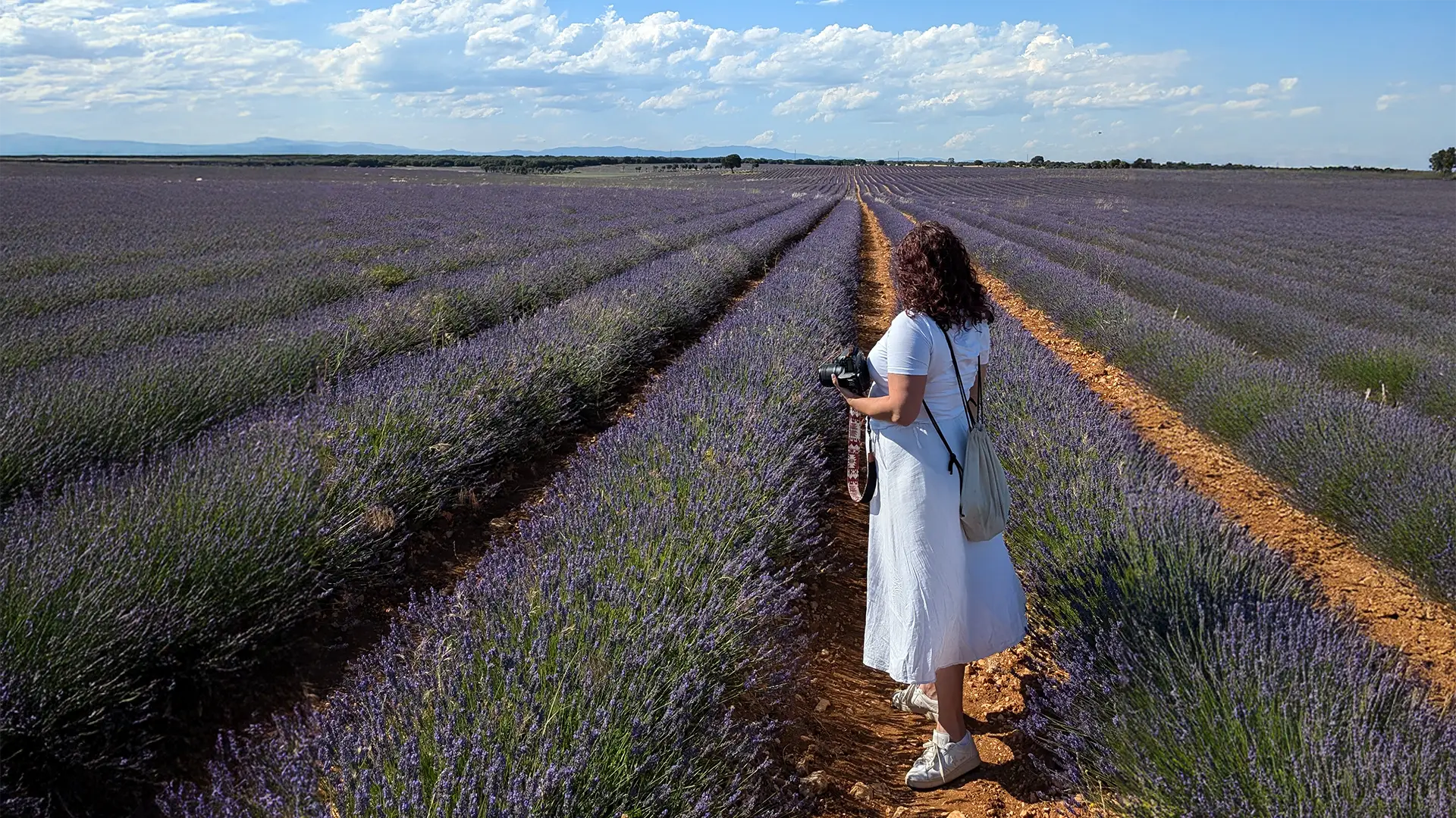 What to know before boarding the Lavender Train to Brihuega