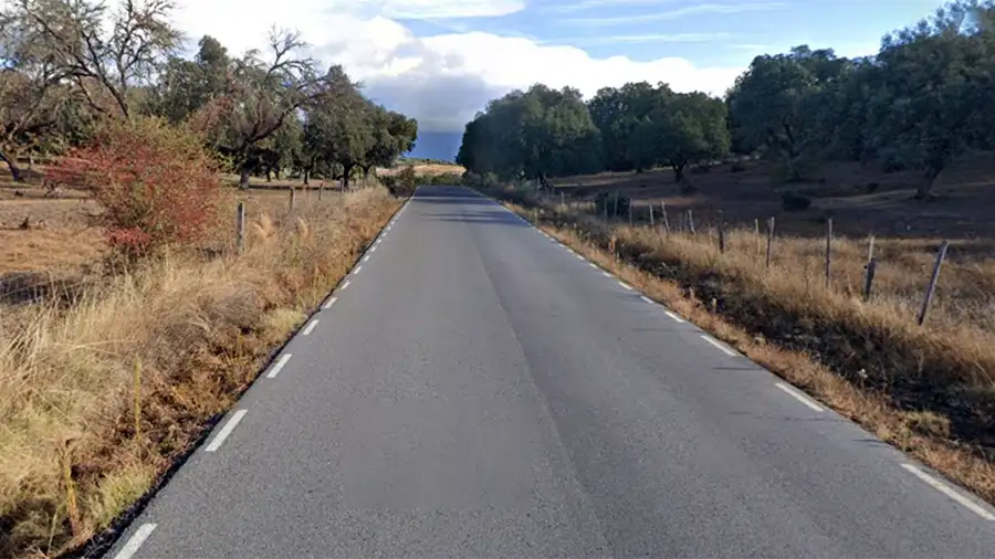 Estrada rural de asfalto com duas vias, cercada por árvores e vegetação de campo, no caminho para a Cueva del Águila.