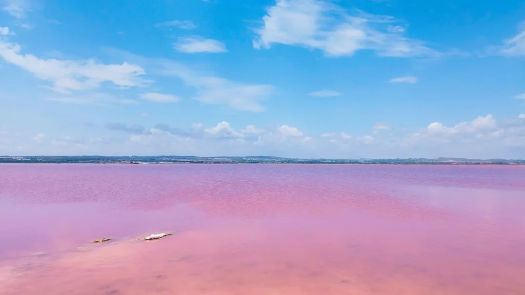 Paisagem da Laguna Rosa de Torrevieja, na Espanha, com a água em tons de rosa calmos refletindo o céu azul com nuvens.