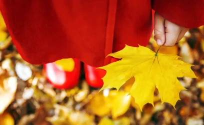 A guide to autumn in Spain: 7 magical forests and landscapes