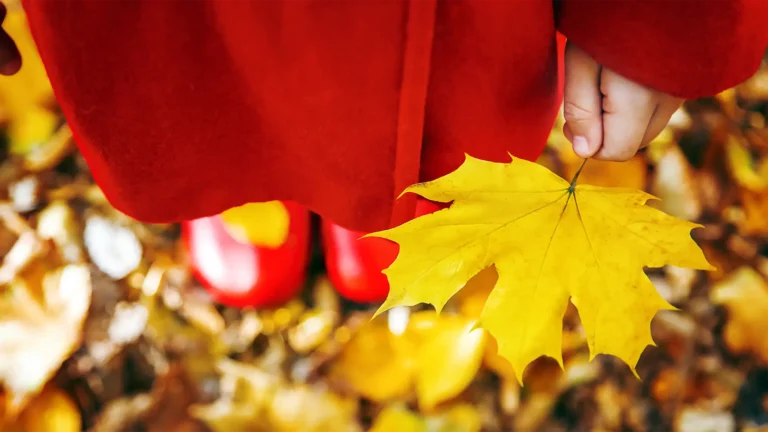 Foto de uma menina sobre folhas amarelas de outrono, segurando uma folha