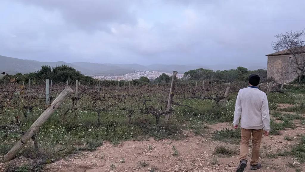 Caminhada entre vinhedos no Penedès, com vista para a paisagem rural e vilarejo ao fundo.