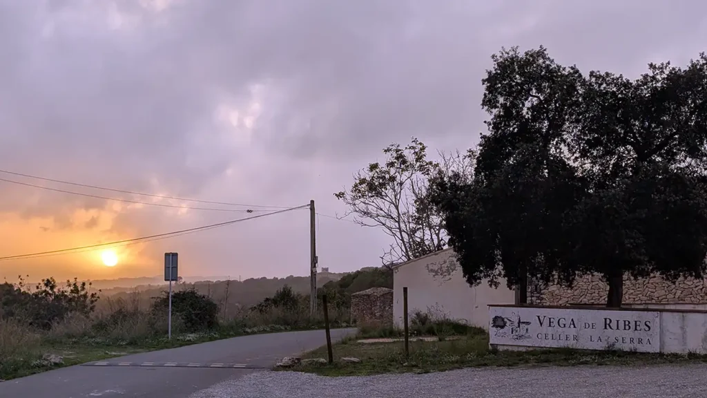 Entrada da vinícola Vega de Ribes ao entardecer, com estrada rural, céu nublado e sinalização da adega.