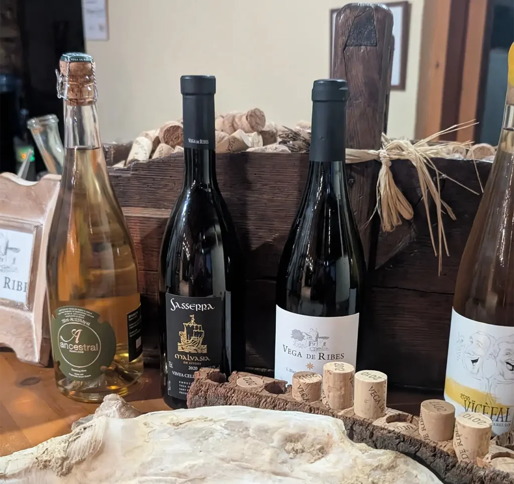 Garrafas de vinho e cava expostas sobre bancada de madeira, com rolhas e utensílios de adega ao fundo.