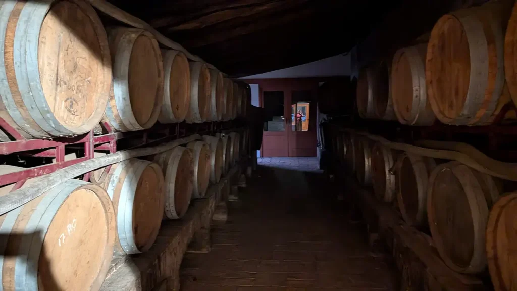 Corredor de adega com barris de madeira alinhados dos dois lados, usado para envelhecimento de vinhos.