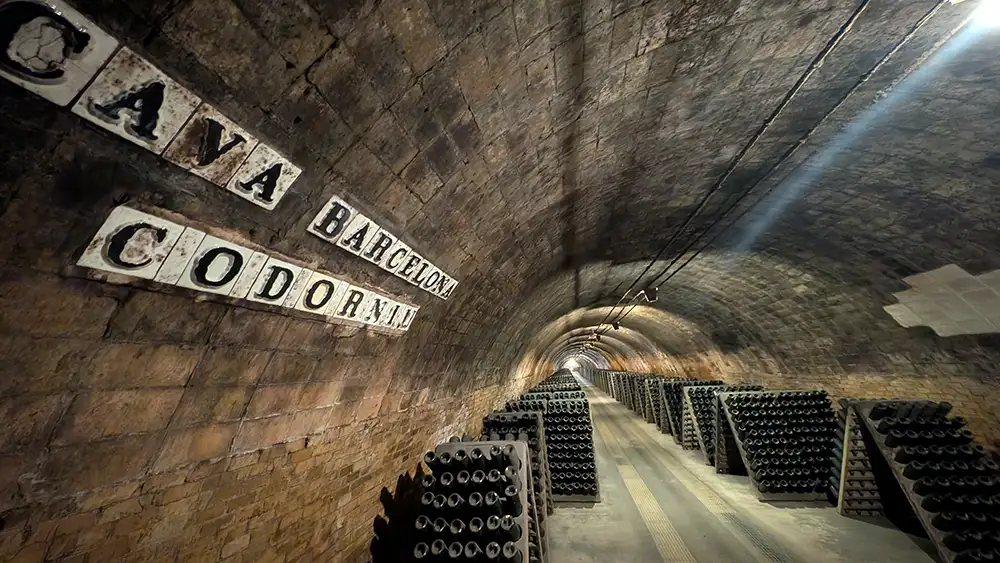 Túnel das caves da Codorníu com placas históricas e garrafas de cava em repouso