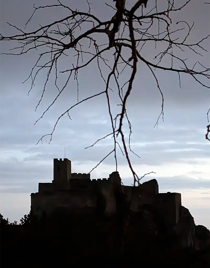 Silhueta do Castillo de Loarre ao entardecer com galhos secos em primeiro plano e céu nublado ao fundo, Huesca, Aragão.