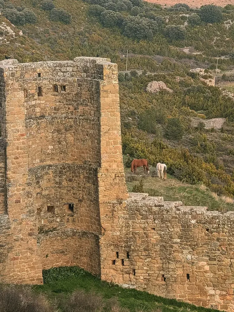 Torre do Castillo de Loarre com dois cavalos pastando nos arredores e vegetação ao fundo, Huesca, Aragão.