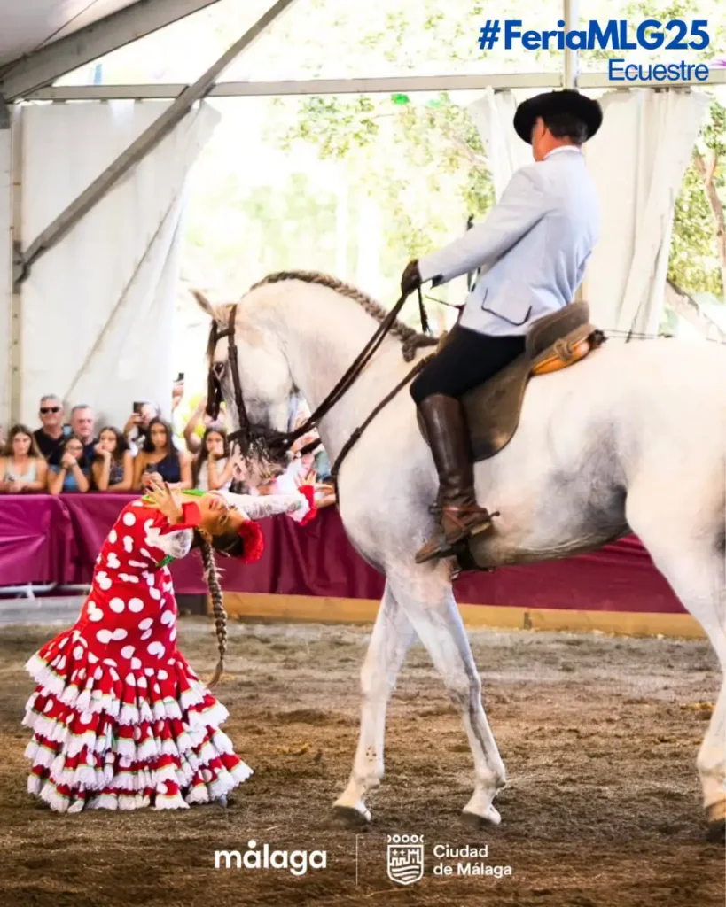 Dançarina de vestido vermelho de bolinhas se inclina para trás ao lado de um cavalo branco montado por um cavaleiro, durante exibição equestre na Feria de Málaga