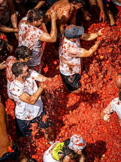 Vista de cima de participantes de camiseta branca atirando punhados de polpa de tomate uns nos outros, cercados por montes de tomates inteiros no chão