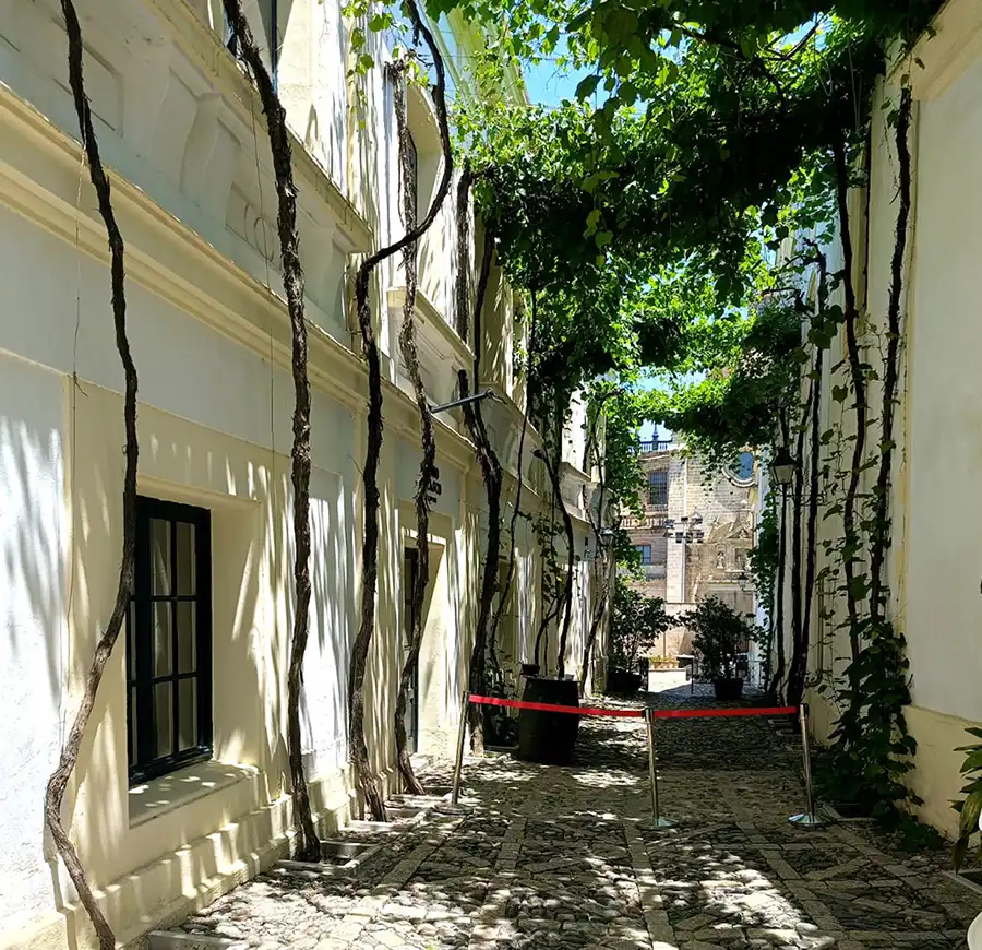 Calle de los Ciegos, rua histórica da González Byass com parreiras e fachada branca em Jerez