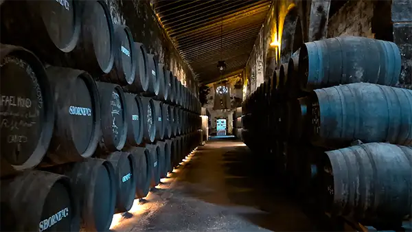 Corredor de adega ladeado por pilhas altas de barris, com inscrições à esquerda e luz no final do corredor.