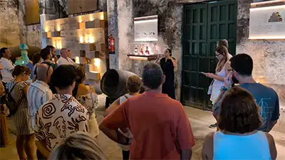 Guia com óculos gesticula e explica em frente a um painel iluminado que exibe garrafas de colheitas raras em uma adega histórica.