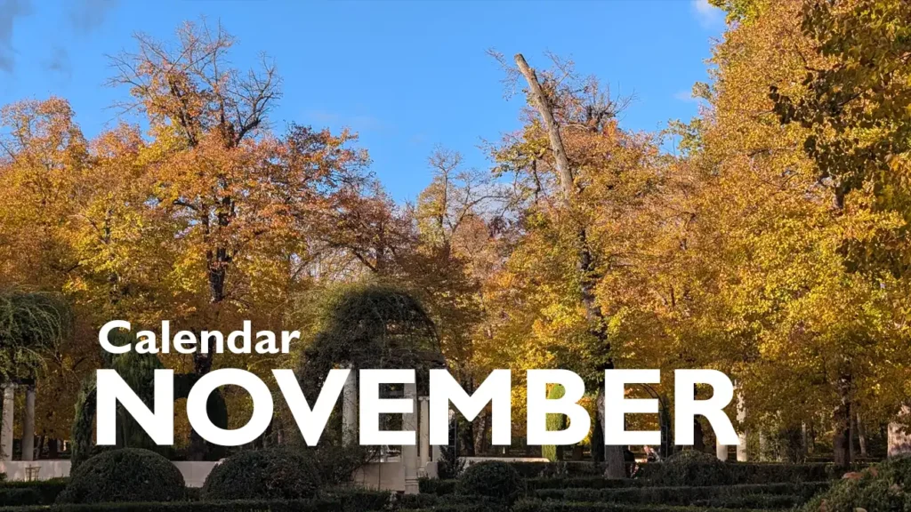 Parque durante o outono com árvores em tons de amarelo e laranja, sob o texto "Calendar November" em branco.