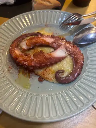Tentáculo de polvo grelhado com páprica e azeite sobre purê de batata, em prato verde-claro.